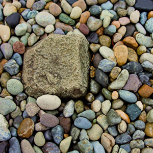 pebbles in Discovery Park